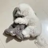 daxtonklein5 - @daxton.klein - TikTok