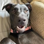 Daxton Miller - @daxton9447 - Instagram