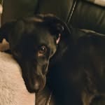 Daxton MILLER - @daxton218 - Instagram