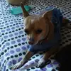wierdoDAY - @daybones - TikTok