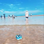 Day Chang - Facebook
