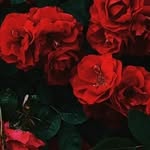 @day_changes_night - Instagram