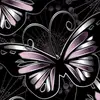 daydacoladyer997 - @daydacoladyer997 - TikTok