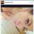 Nelson Day - @nelson_day - Instagram