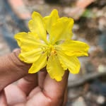 Day Phan - @dayphan27 - Instagram