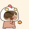 Day Phan - @day.phan - TikTok