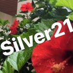 デイサービスシルバー２１ - @daysilver21 - Instagram