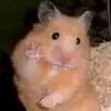 Dayani Martínez🌷 - @dayani_martinez68 - TikTok