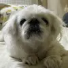 daye Lee - @daye.lee1 - TikTok