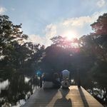 Song - @dayena_mom - Instagram