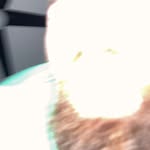 Daylan Davis - @djdavis62517 - Instagram