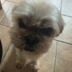 Dayle Miller - Facebook