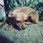 Daylin Davis - @davis.d234 - Instagram