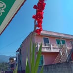 Daylin Diaz - Facebook
