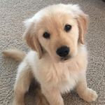 Daylin Suárez Boffill - @daylinsuarezboffill - Instagram