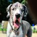 Daylon Brown - Facebook
