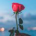 Daylon Cooper - Facebook