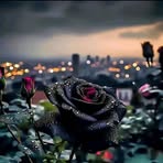 Daymi Ramirez - Facebook