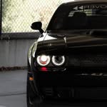Dodge Damon - @dodge.damon.different - Instagram