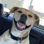 daymon - @smithdaymon08 - Instagram