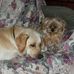 Dana Beal - Facebook