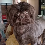 Dayna Bell - @keekeesmommy - Instagram