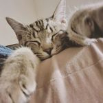 Dayna Bennett - @mama_marmalad3 - Instagram