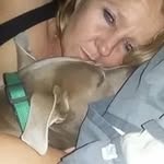 Dana Berry - @danaberry7630 - Instagram