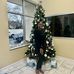 Dayna Brown - Facebook