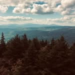 Dana Dodd - @treelover39 - Instagram