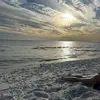 Dana Harrison - @dana.harrison6 - TikTok