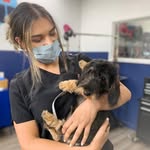 Dana Walton - @danas.doggies - Instagram