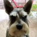 Dayne Brown - Facebook