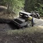Dayne Dennett - @daynedennett - Instagram