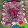 Dayra Gutierrez - @dayragutierrez07 - TikTok