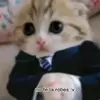 daysilopez2080 - @daysilopez2080 - TikTok