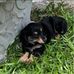 Dayton Bailey - Facebook