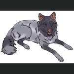 Dayton Ross - @__wolves_of_greenhills - Instagram