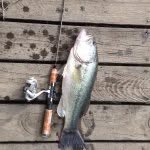 Dayton scott - @fishing_tenneseee - Instagram