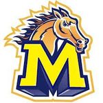 Home of the Mustangs - @miller_elementary_dearborn_ - Instagram