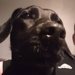 deacon Palmer Thompson - @deac0n07 - Instagram