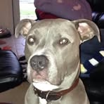 Deacon Thompson - Facebook