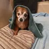 Dean Addison - @dean.addison3 - TikTok
