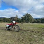 Dean Algeri - @algeridean - Instagram
