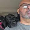 deanamaral2 - @deanamaral2 - TikTok