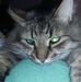 Dean Ames - Facebook
