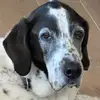 Dean Andreakis - @dean.andreakis - TikTok
