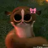 Dean Angle - @dean.angle - TikTok