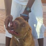 Antonio Dean - @dean_antonio - Instagram