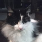 Roy Dean Arnett - @roydeanarnett - Instagram